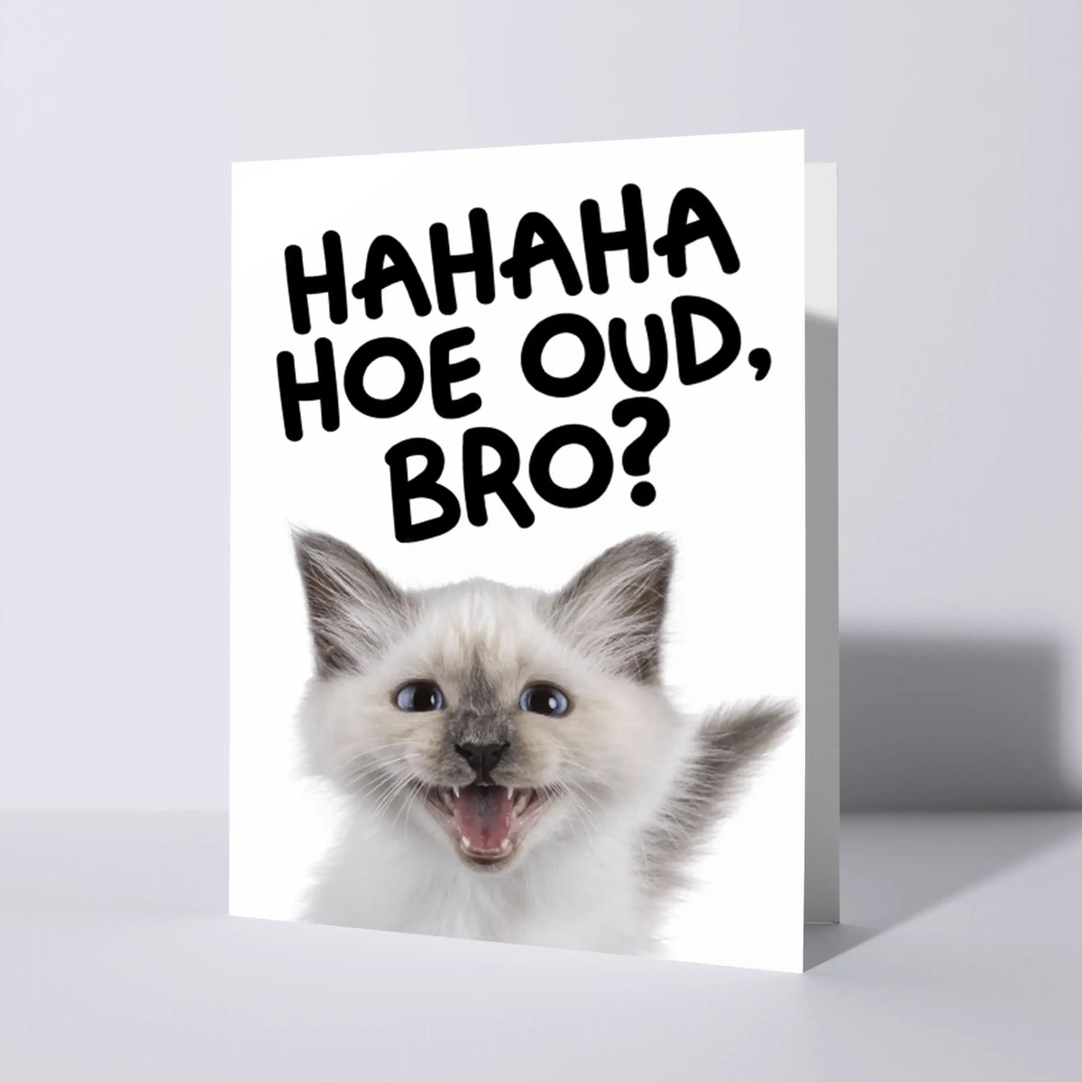 CAT'CHY Cards - wenskaart - verjaardag - kat - heilige birmaan