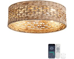 Plafondventilator 19 inch - Dubbele bediening via app en afstandsbediening - Zes snelheidsstanden - Geschikt voor lage plafonds en kleine appartementen - ABS-bladen met rotan rooster - Opengewerkt ontwerp