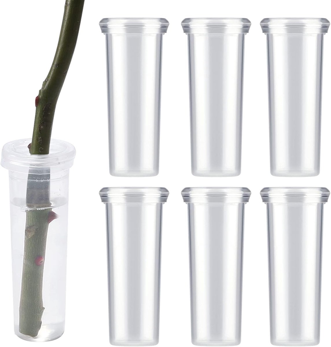 Set van 6 Grote Plastic Waterbuizen voor Verse Bloemen met Deksel - Ideaal voor Melkdistel en Bloemstukken 11x3.5cm (Transparant)
