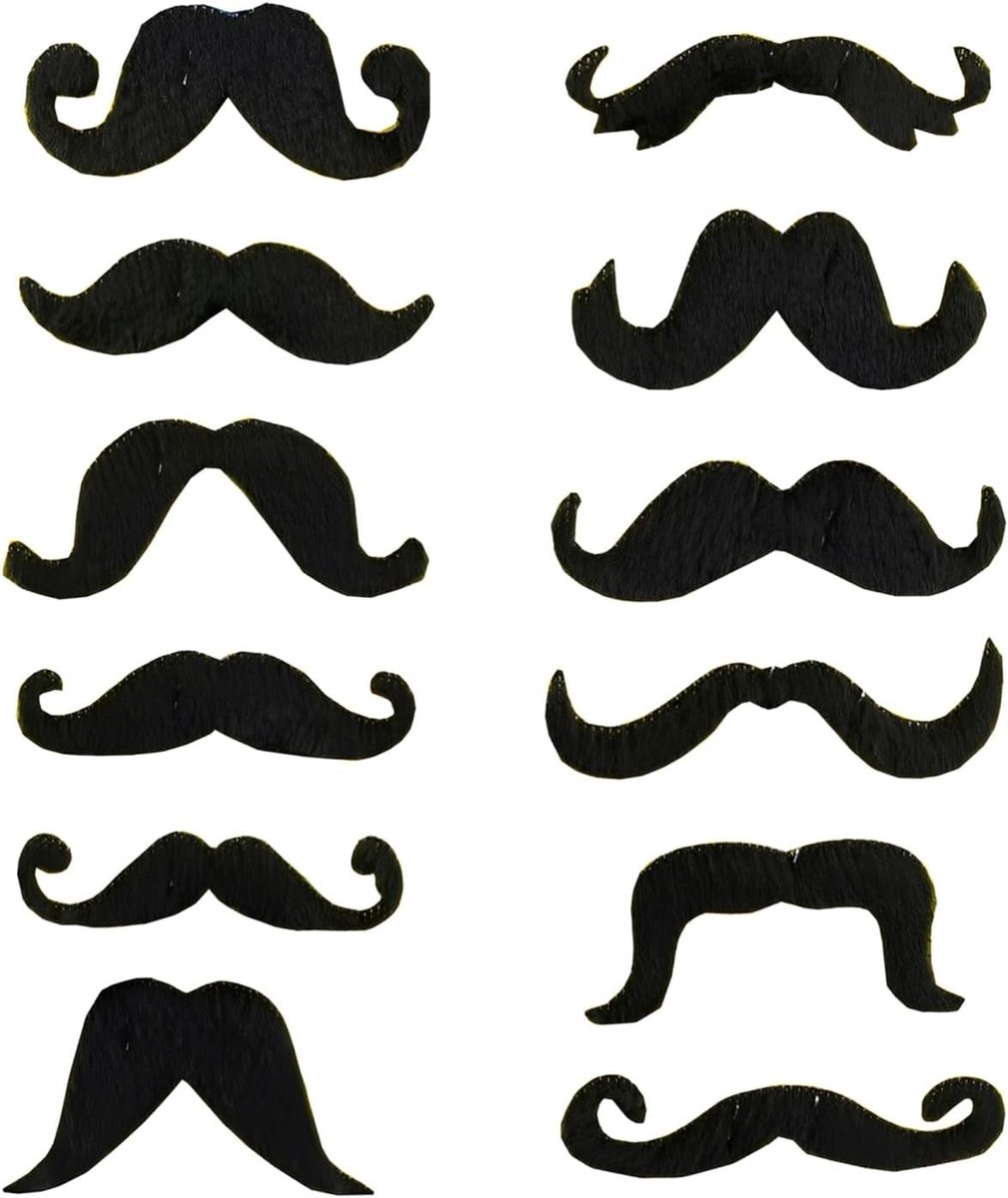 12 stuks zelfklevende nepbaarden en plakbaarden voor volwassenen, realistische schnauzer als kostuumaccessoire voor carnaval, Halloween en themafeesten