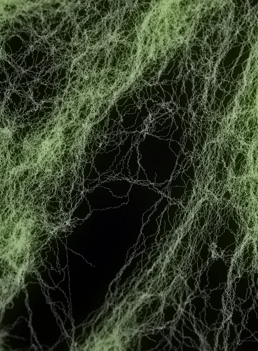Uitrekbaar Glow In The Dark Spinnenweb