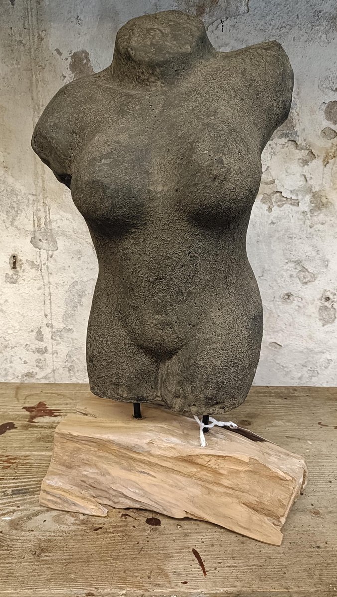 Torso beeld van vrouw