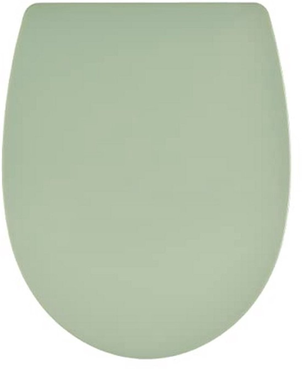 Wirquin 20724244 Marbella U Shape Thermoplastic Toilet Seat Sage Green