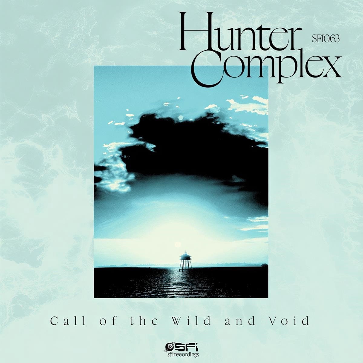 Hunter Complex - Call Of The Wild And Void (LP)