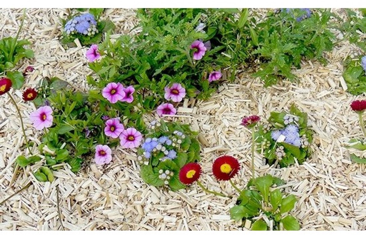 Olifantsgras Bodembedekking - Natuurlijk Mulch Materiaal - Tuinonderhoud Verfraaien - Duurzaam Grondverbeterend - 25 Liter Inhoud