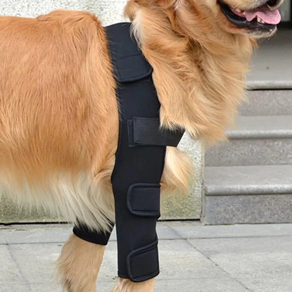 Ademende elleboogbandages Geschikt voor honden bieden beschermende vulling Geschikt voor de ellebogen en schouders van de hond.