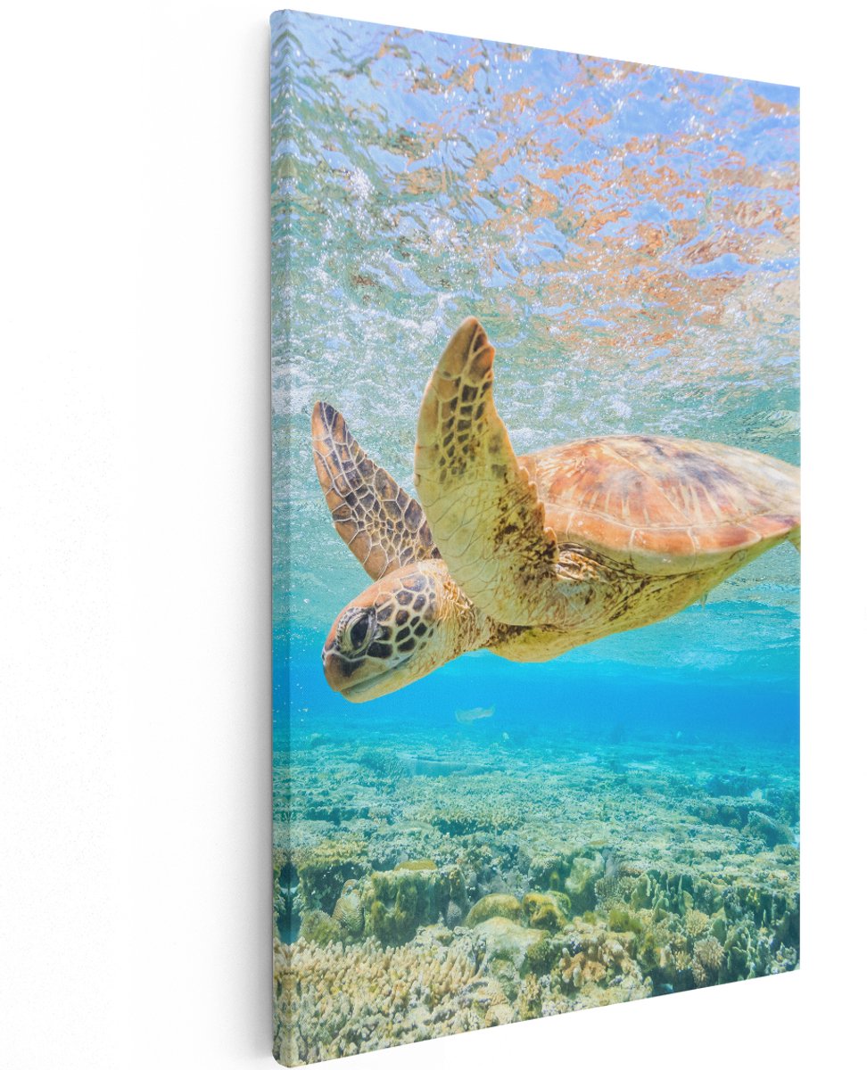 Artaza Canvas Schilderij Schildpad Zwemt in de Zee bij het Rif - 120x180 cm - Groot - Wanddecoratie Woonkamer - Schilderijen - Muurdecoratie