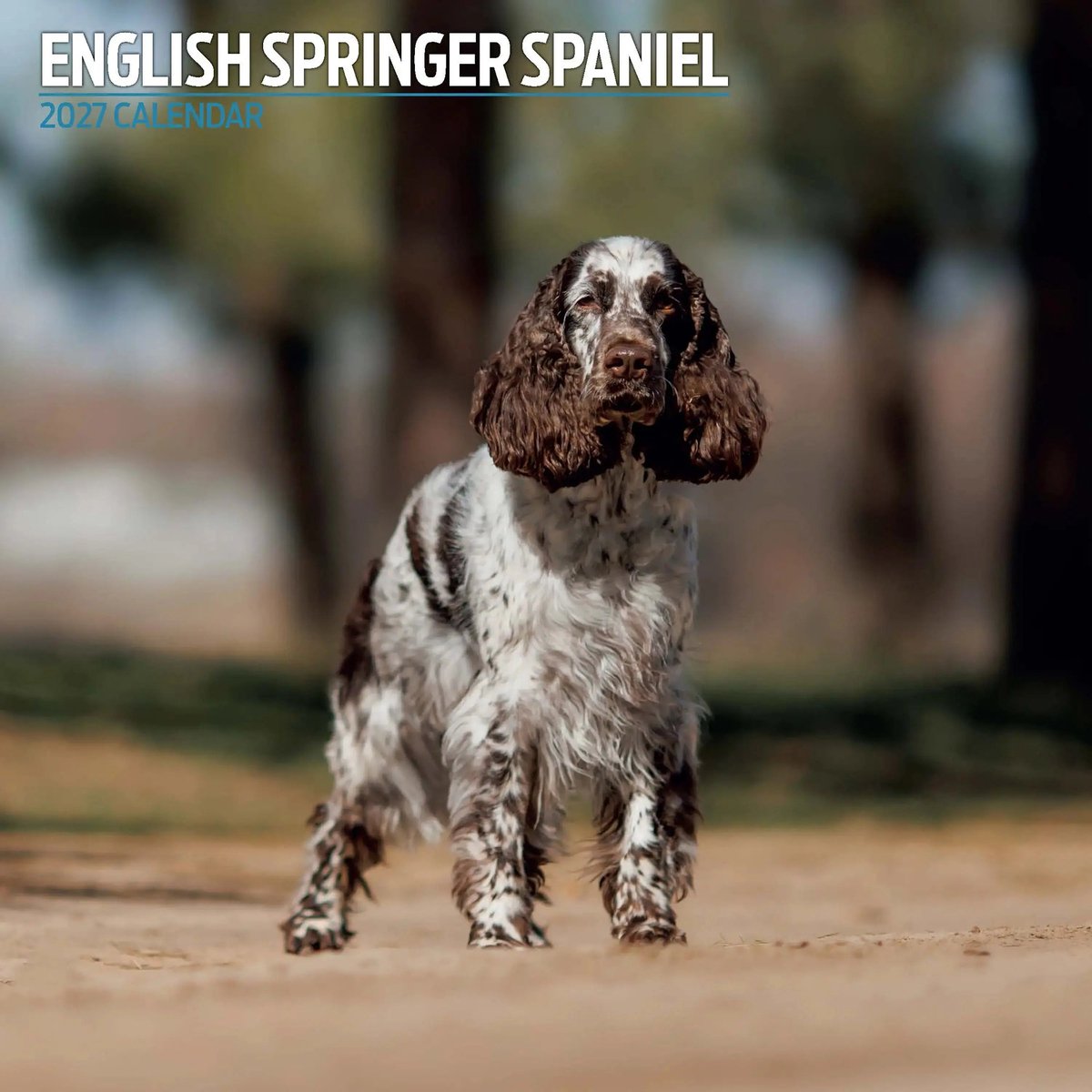 Engelse Springer Spaniel Kalender 2027