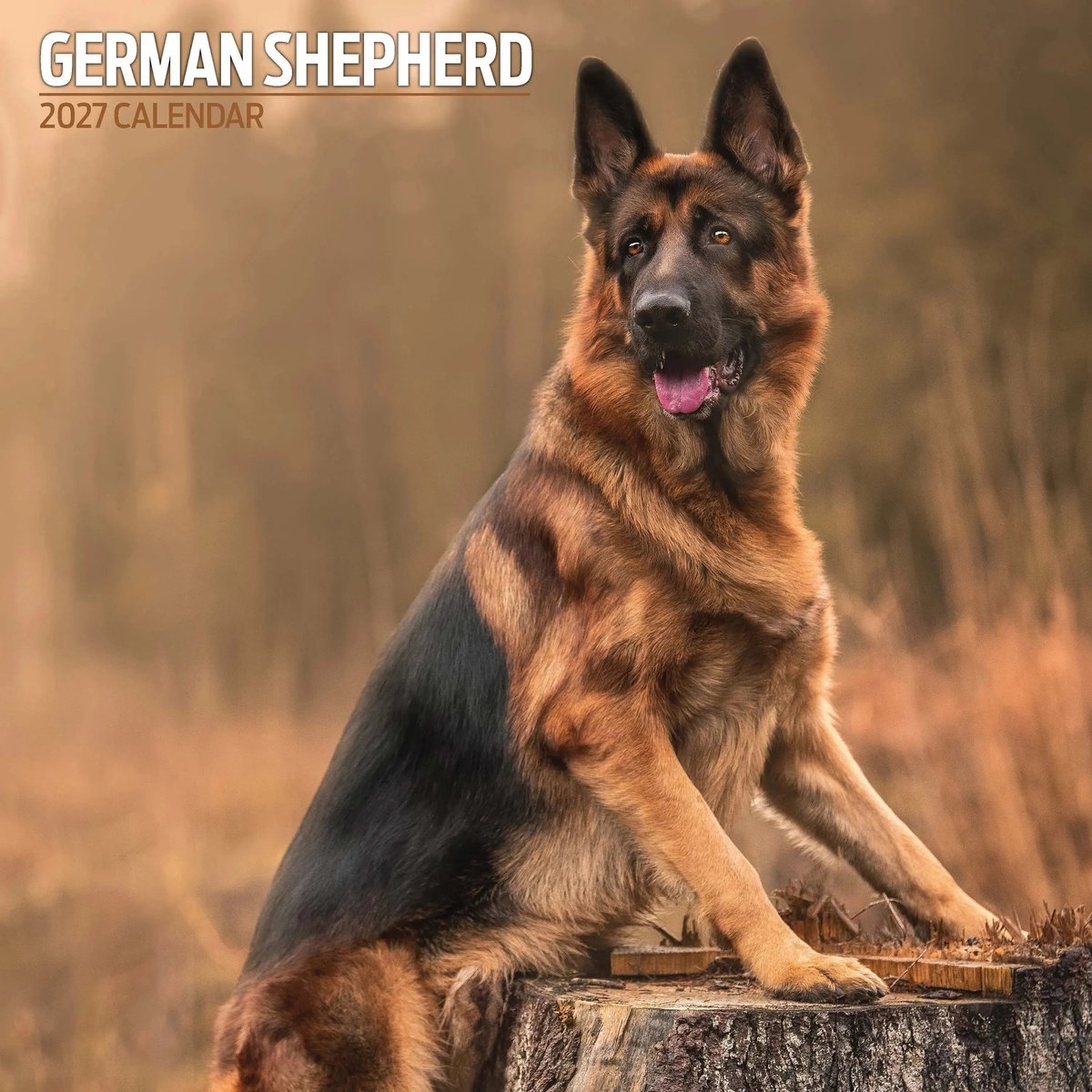 Duitse Herder Kalender 2027