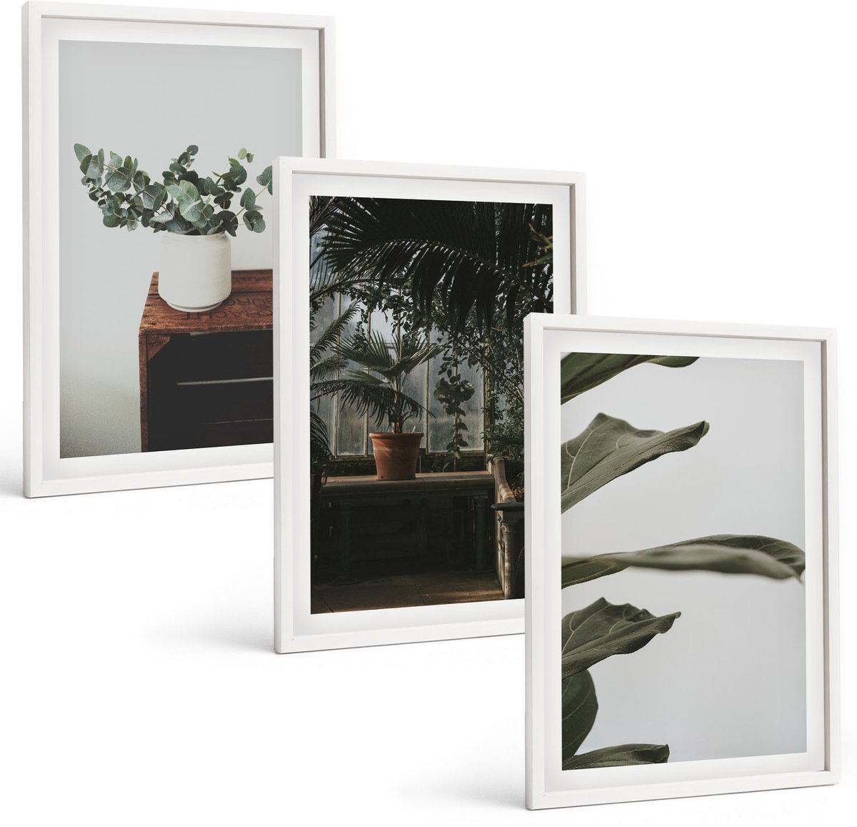Wallfluent 3-Delige Schilderij Set - Rustieke Bladeren Potplanten - 40 x 60 - Muurdecoratie - Wanddecoratie - Slaapkamer