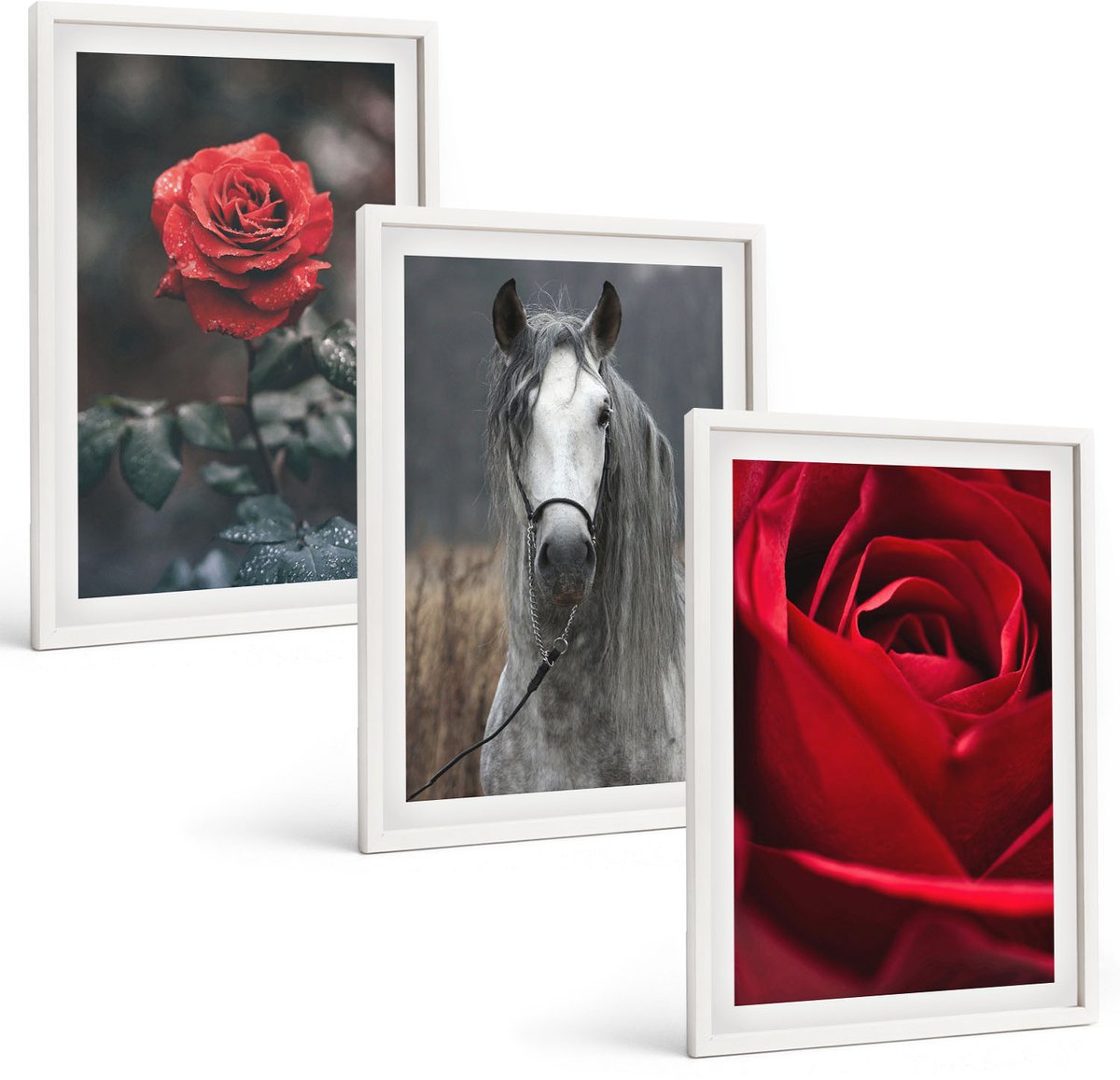 Wallfluent 3-Delige Schilderij Set - Rode Rozen En Een Paard In Een Grijze Omgeving - 40 x 60 - Stijlvolle Wanddecoratie - Interieur - Decoratieve Schilderijen