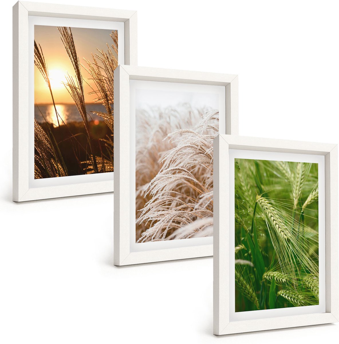 Wallfluent 3-Delige Schilderij Set - Verschillende Soorten Grassen, Kleurrijke Natuur - 20 x 30 - Moderne Wanddecoratie - Slaapkamer