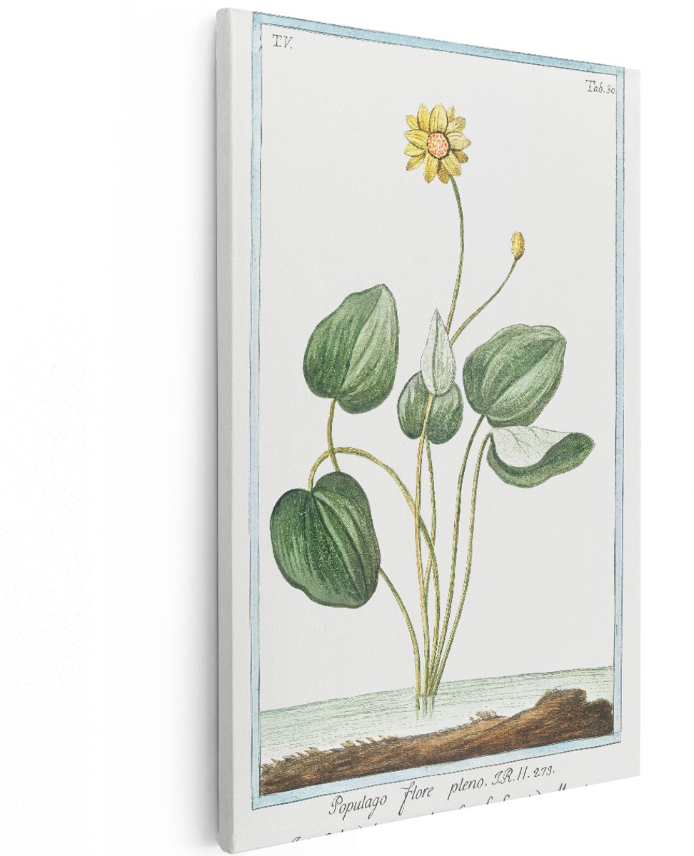 Artaza Canvas Schilderij Bloemen - 120x180 cm - Groot - Wanddecoratie Botanische Illustratie - Muurdecoratie Vintage - Decoratie Plant Geel