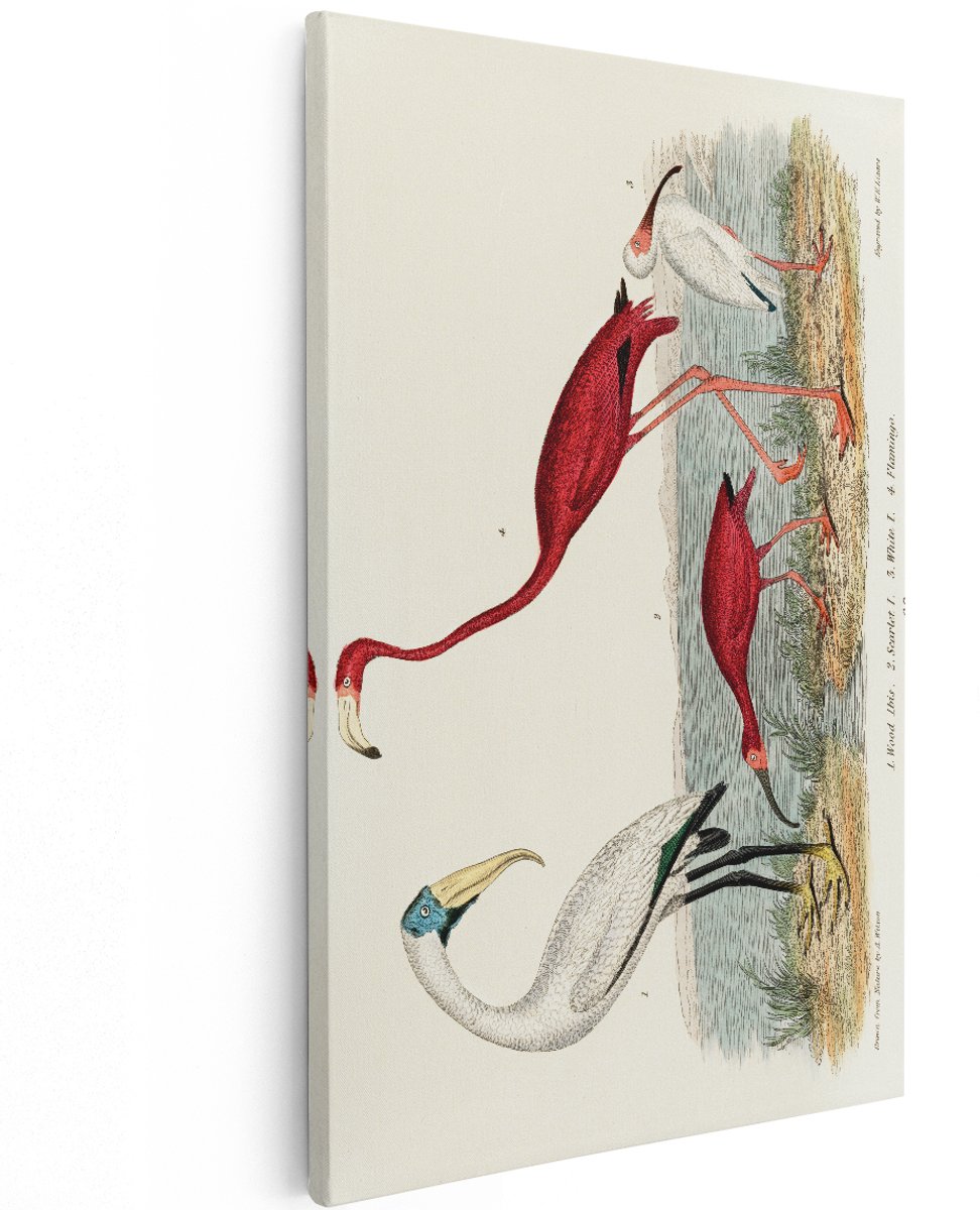 Artaza Canvas Schilderij Vogels - 120x180 cm - Groot - Wanddecoratie Flamingo - Muurdecoratie Ibis - Vintage Schilderijen Natuur