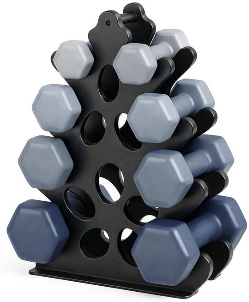 Dailygoods - Halterrek Metalen 4-Tier Gewicht Stand Houder - Voor Thuis Gym (Geen Halters Inbegrepen)