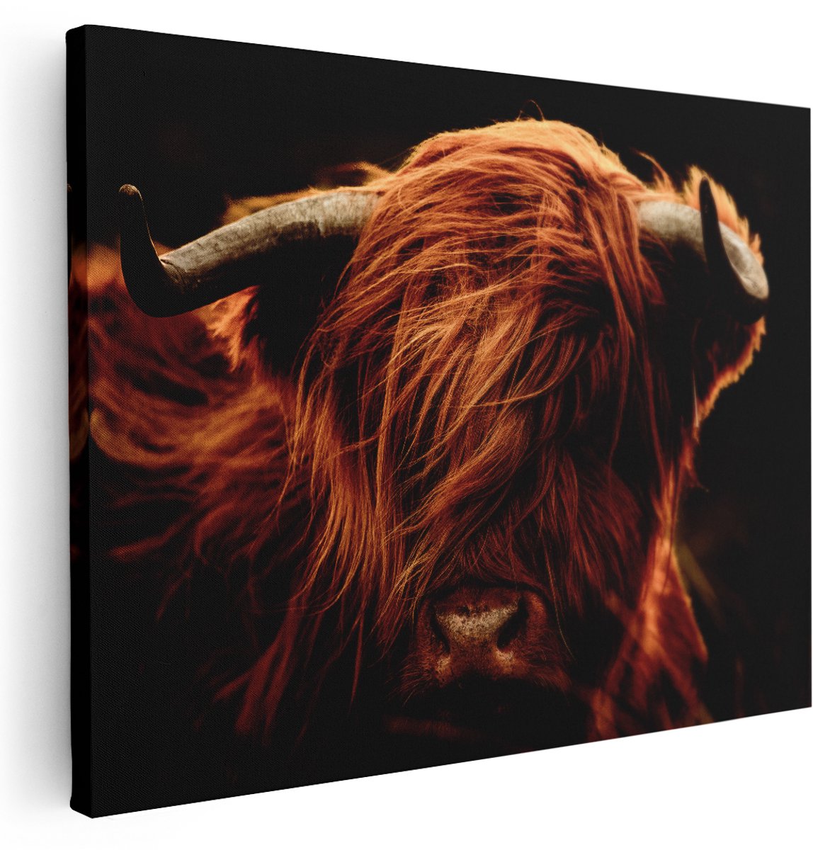 Artaza Canvas Schilderij Schotse Hooglander Koeienkop - Kleur - 160x120 cm - Groot - Wanddecoratie Woonkamer - Schilderijen - Muurdecoratie