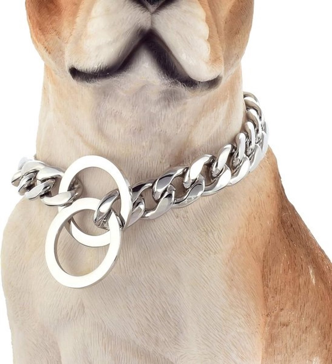Hondenketting Kraag Roestvrij Staal voor Kleine Honden - Sterke en Kauwbestendige Wandeltraining Ketting