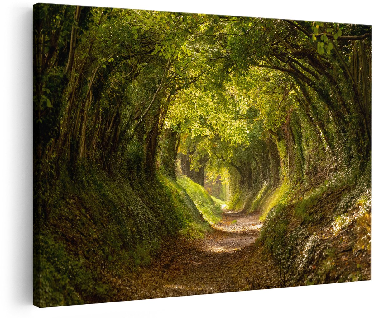 Artaza Canvas Schilderij Pad in het Bos met veel Bladeren - 180x120 cm - Groot - Foto Op Canvas - Wanddecoratie Woonkamer