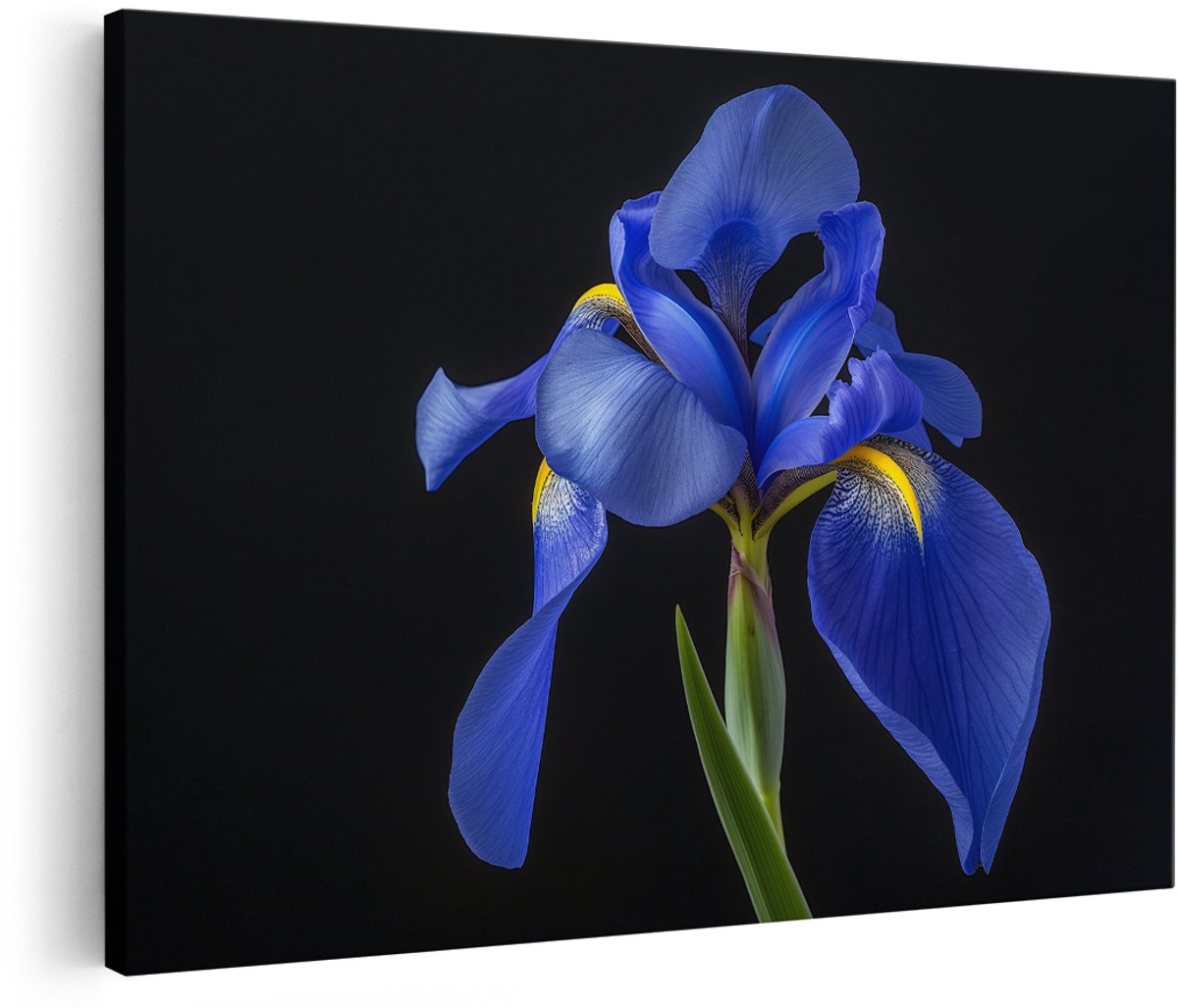 Artaza Canvas Schilderij Iris - 180x120 cm - Groot - Wanddecoratie Blauwe Bloem - Muurdecoratie Natuur - Decoratie Woonkamer - Schilderijen Op Canvas