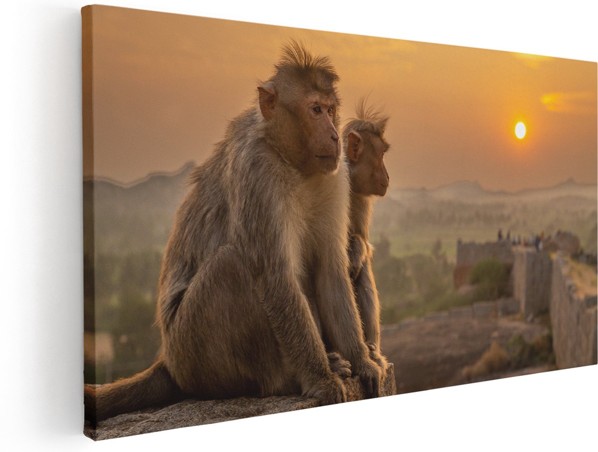 Artaza Canvas Schilderij Twee Apen Bekijken De Zonsondergang - 180x90 cm - Groot - Wanddecoratie Woonkamer - Schilderijen - Muurdecoratie