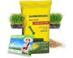 Graszaad Herstel - Kale Plekken - Gazon Reparatie - Kiemt Vanaf 4°C - Tot 250m2 - Groen