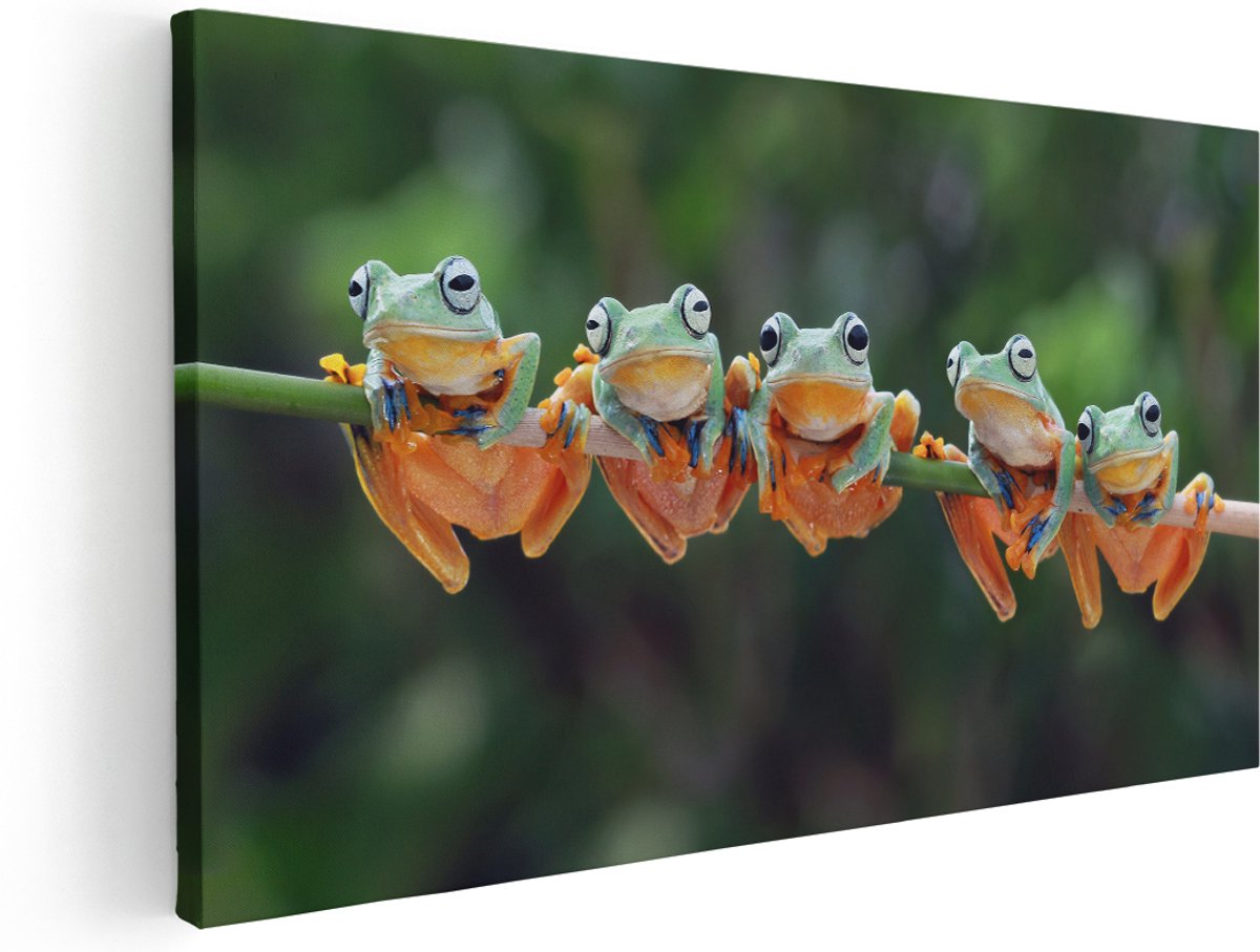 Artaza Canvas Schilderij Groep Kikkers op een Tak - 140x70 cm - Groot - Wanddecoratie Woonkamer - Schilderijen - Muurdecoratie