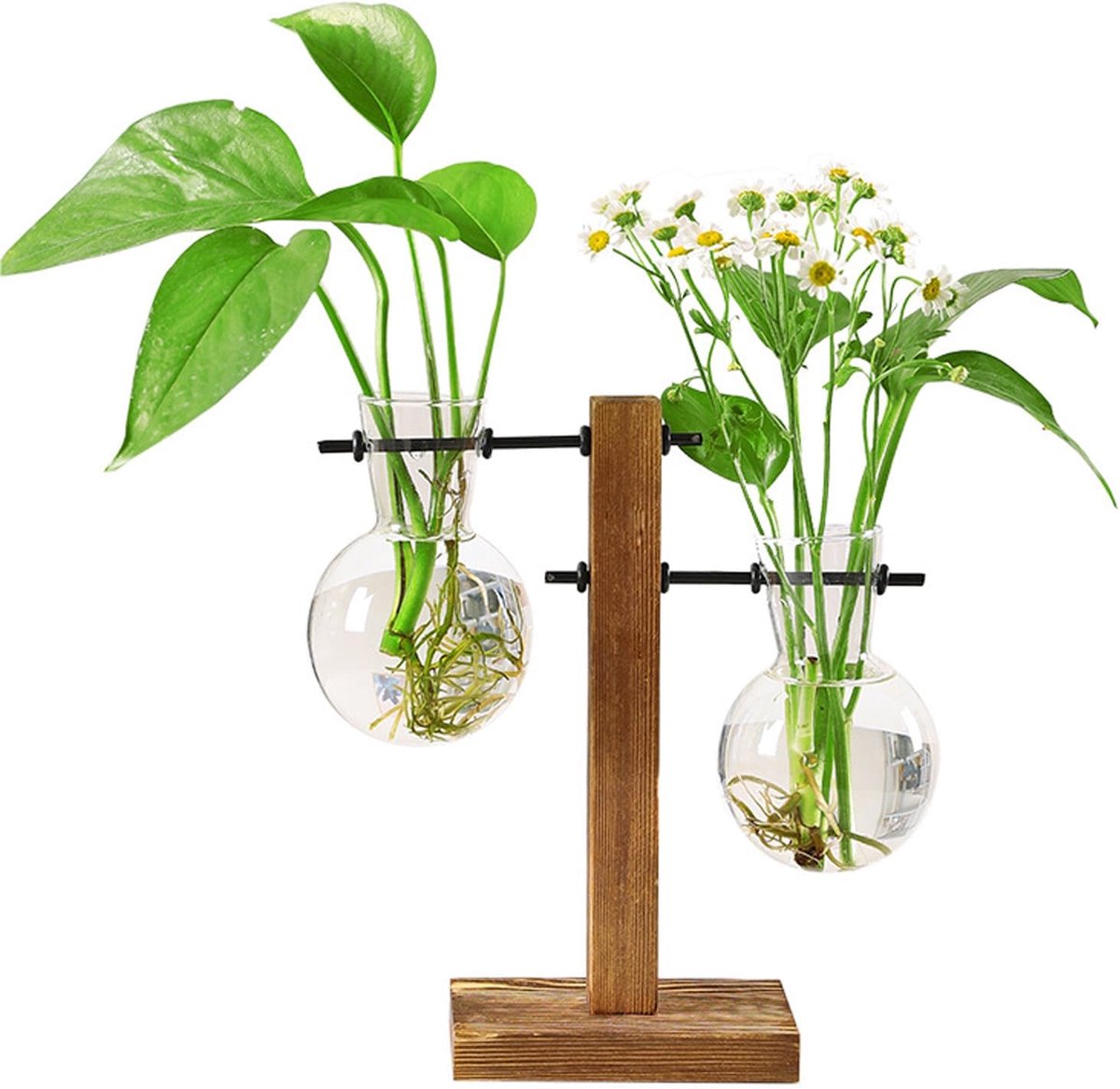 Hydroponics plant vases 2 glazen flessen - houten standaard - retro design - perfecte desk decoratie - ShopVlot