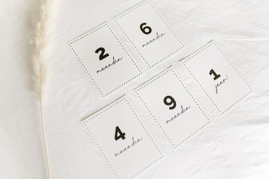 Baby mijlpaalkaarten met getallen en de tekst '2 maanden', '6 maanden', '4 maanden', '9 maanden', '1 jaar'.
