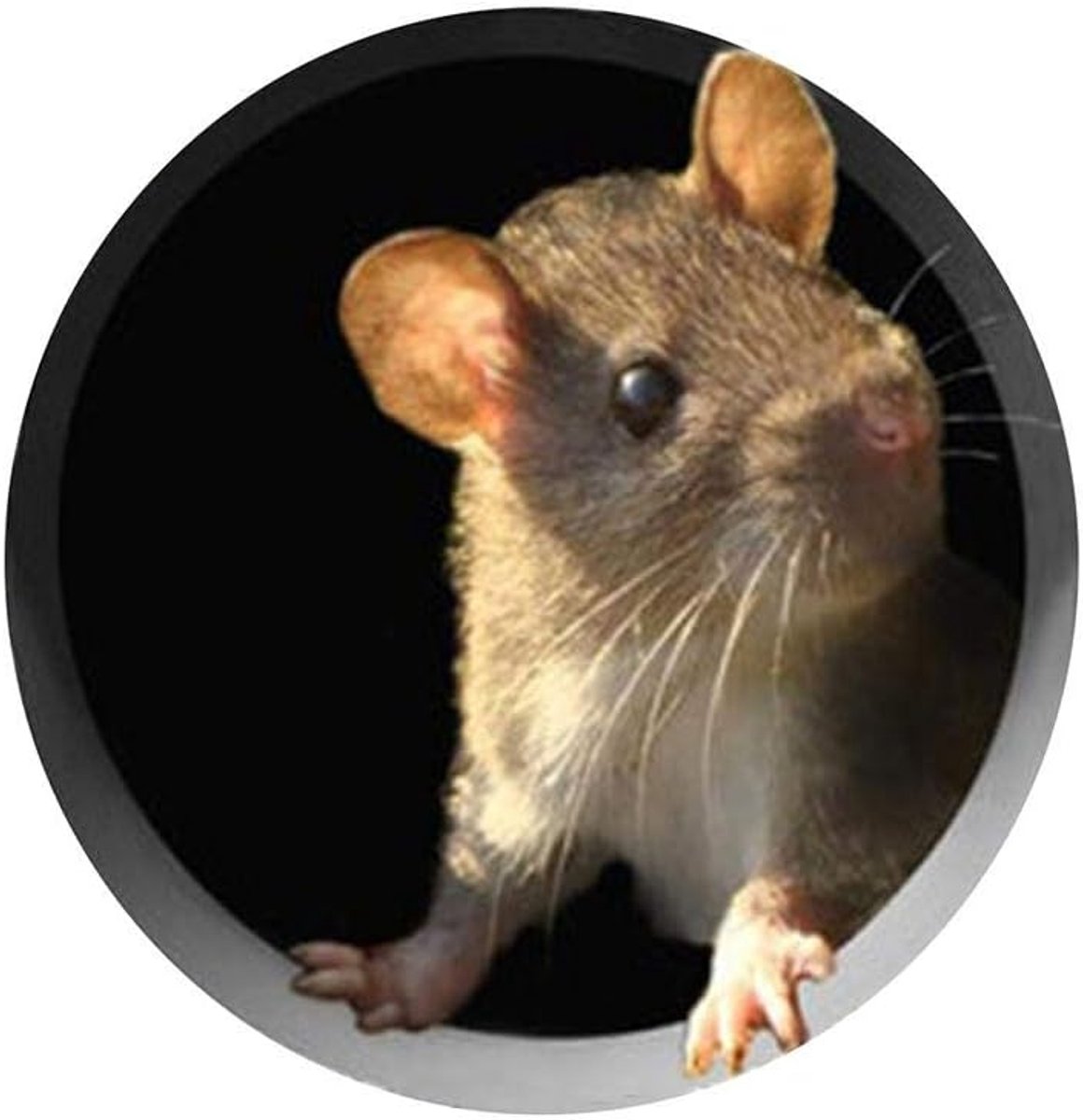 Mouse Hole Stickers 5pcs Wall Art Stickers Wall Stickers Cartoon 3D Mouse Hole Stickers Baseboard Wall Stickers for - ShopVlot