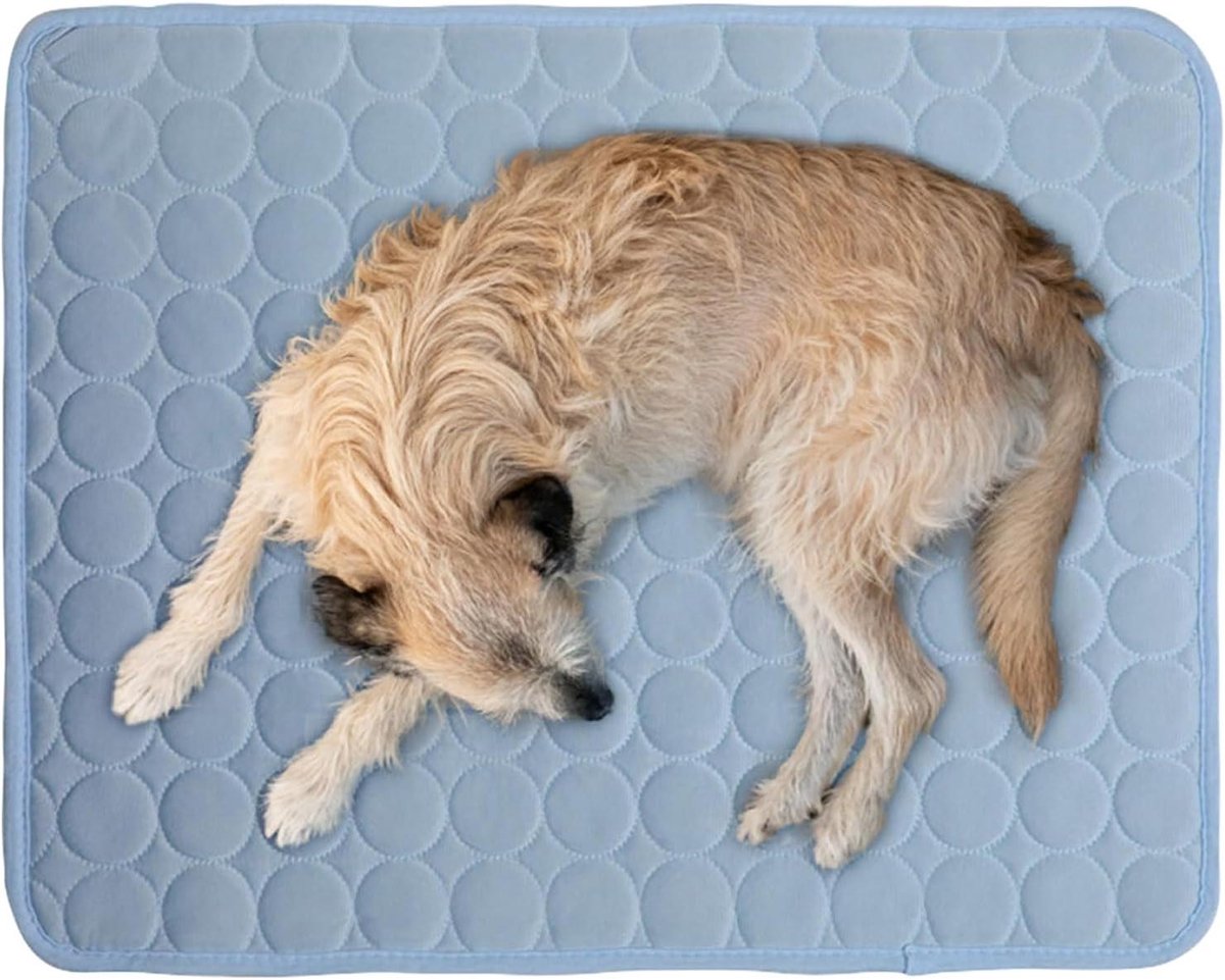 Honden Koelmat - Koelmat Hond - Hond Koel Houden - Zonder Elektriciteit - 100x70cm - Lichtblauw