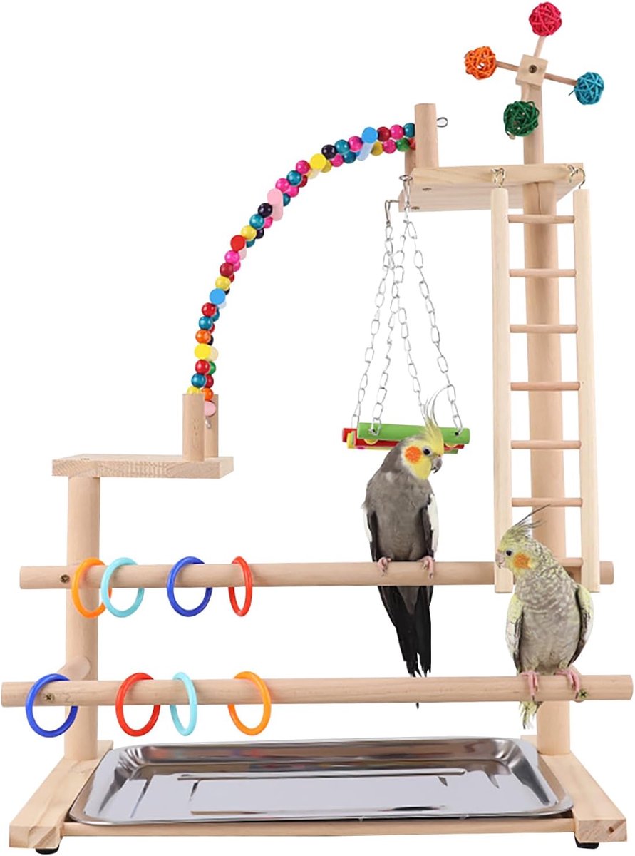 Bird playground wooden stand with swing, ladder for lovebirds and parrots #A01 - ShopVlot