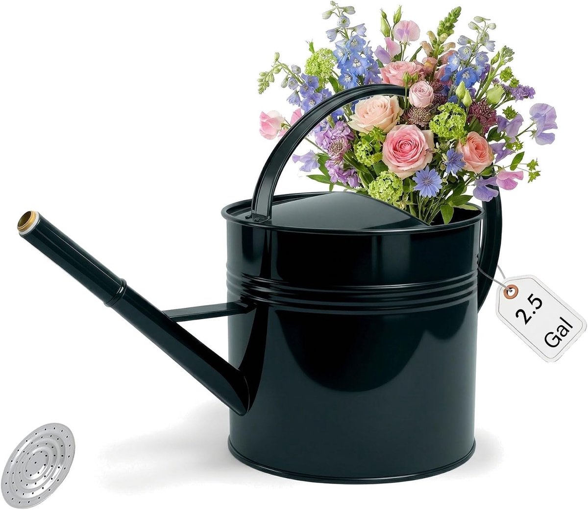 Metalen gieter van 2,5 gallon, 9,5 l grote gegalvaniseerde gieter voor buitenplanten met afneembare lange uitloop - ShopVlot