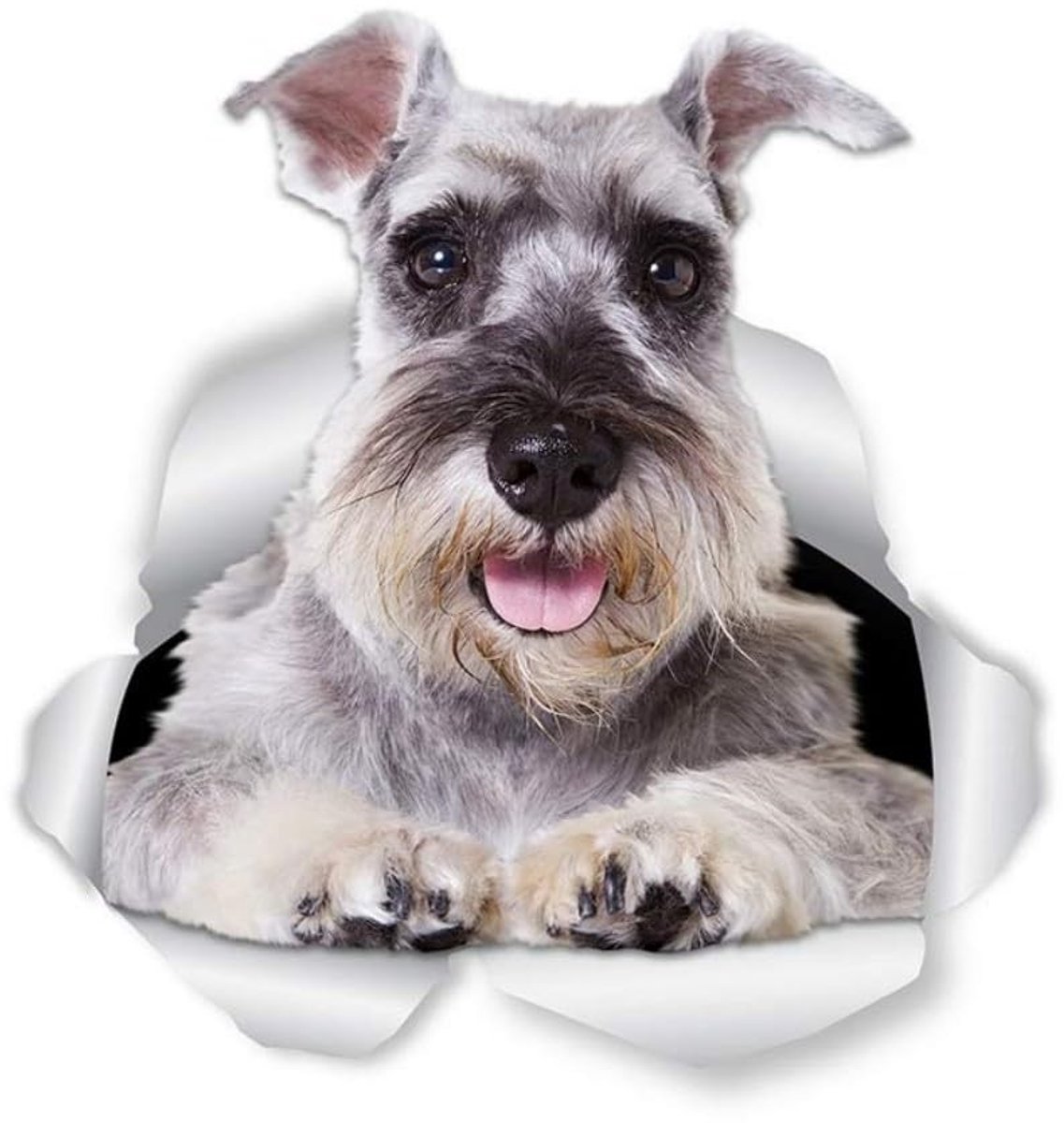 Solidchoice - 3D Schnauzer Hondensticker voor Decoratie
