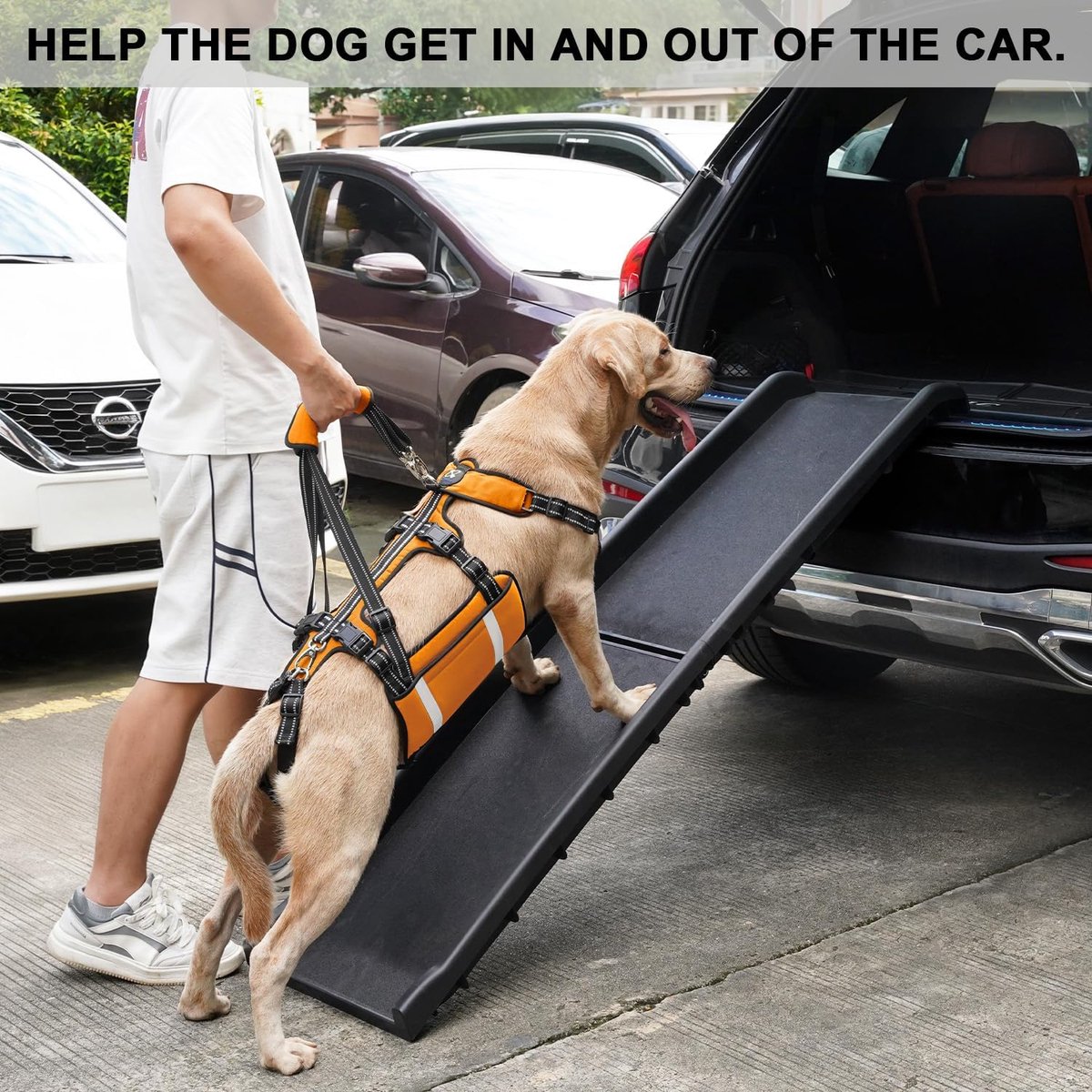 COODEO Mobility Dog Lift Harness, Emergency Dog Carrier Bag, Hind Leg Support Pet Rehabilitation Lifts, Dog Carrier - ShopVlot