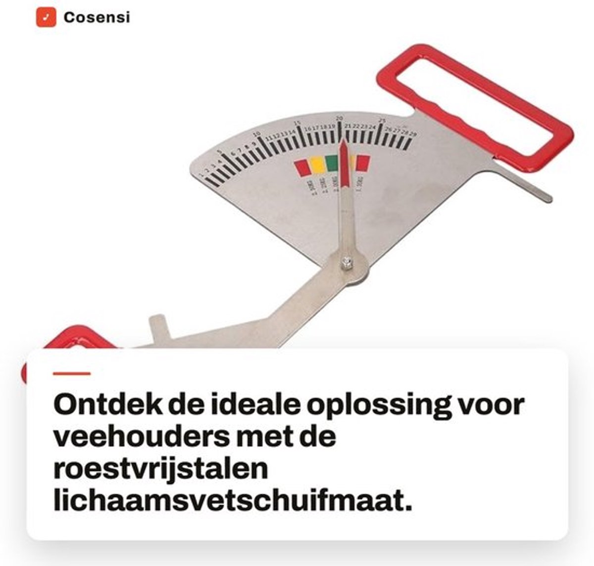 Vetschuifmaat Roestvrij Staal - Nauwkeurige Meting - Drachtige Zeugen - Verbeterde Efficiëntie - Betrouwbaar Hulpmiddel - Effectieve Voeding - Voermanagementliniaal