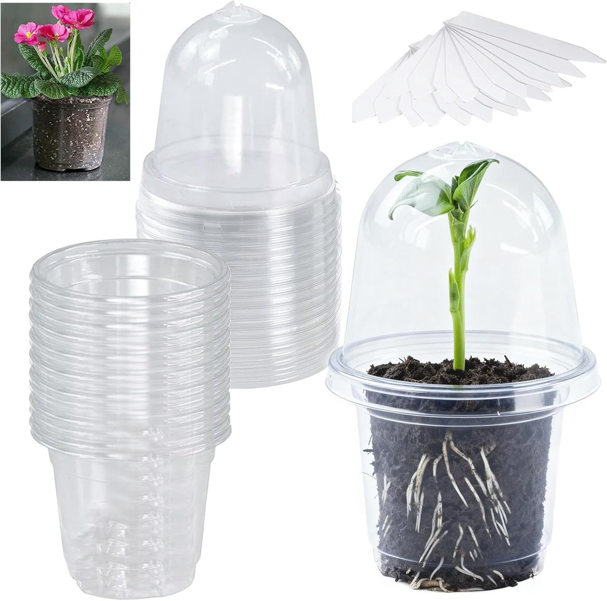 Set van 24 Transparante Plantpotjes met Deksel en 24 Labels - Ideaal voor Zaailingen, Vetplanten en Tuinieren