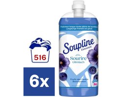 Soupline Wasverzachter Glimlach & Bosvruchten – 6 x 2 liter (516 wasbeurten)