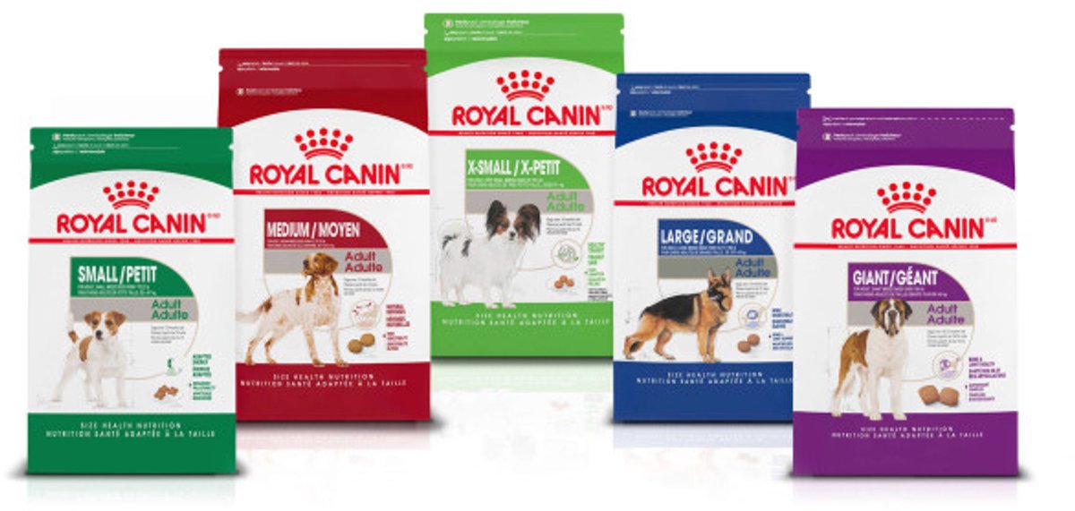 Royal Canin Puppy Medium - 4 KG - Hondenbrokken thumbnail 4