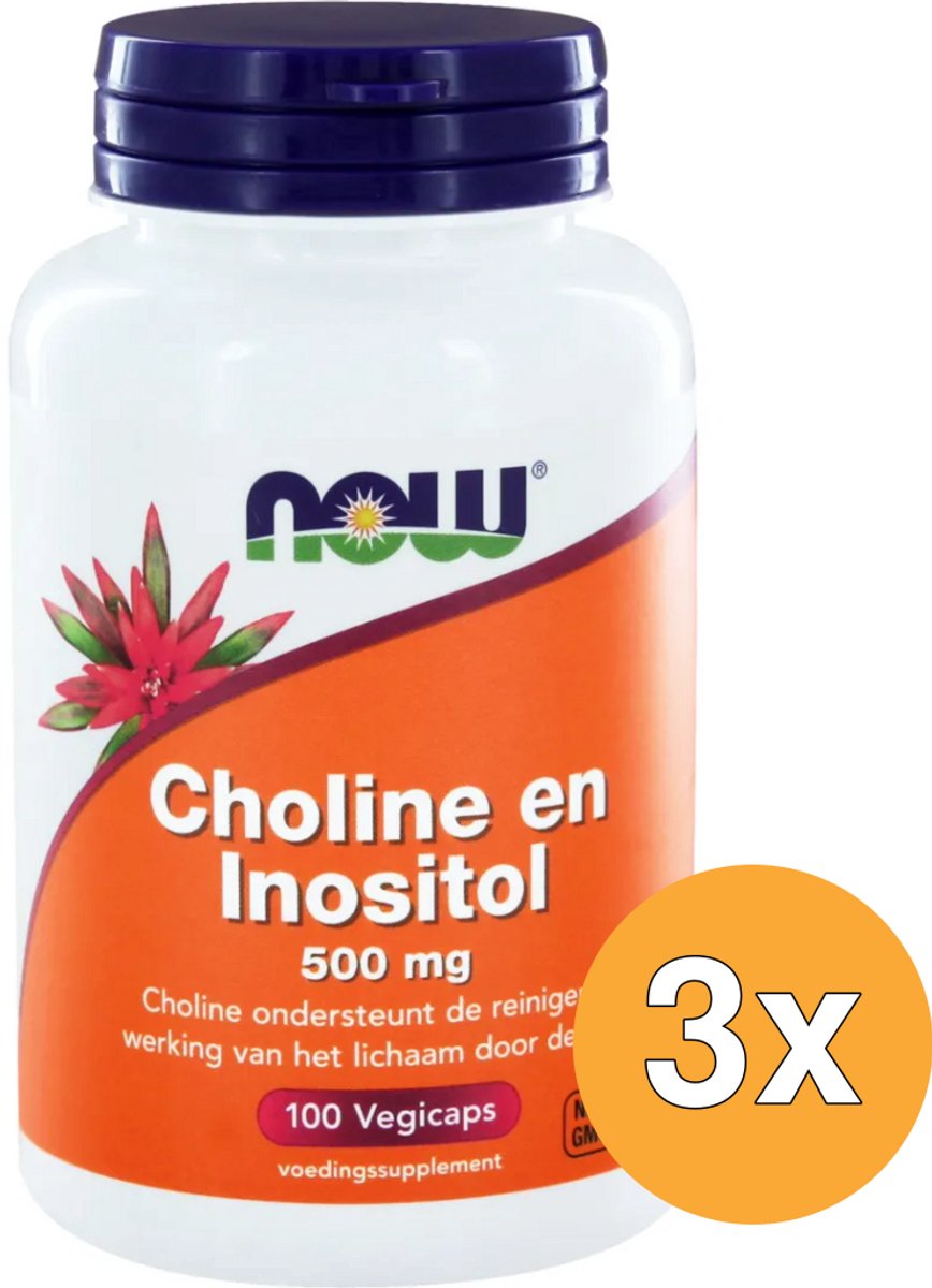 3x Now Choline en inositol 500 mg (100 vega capsules)