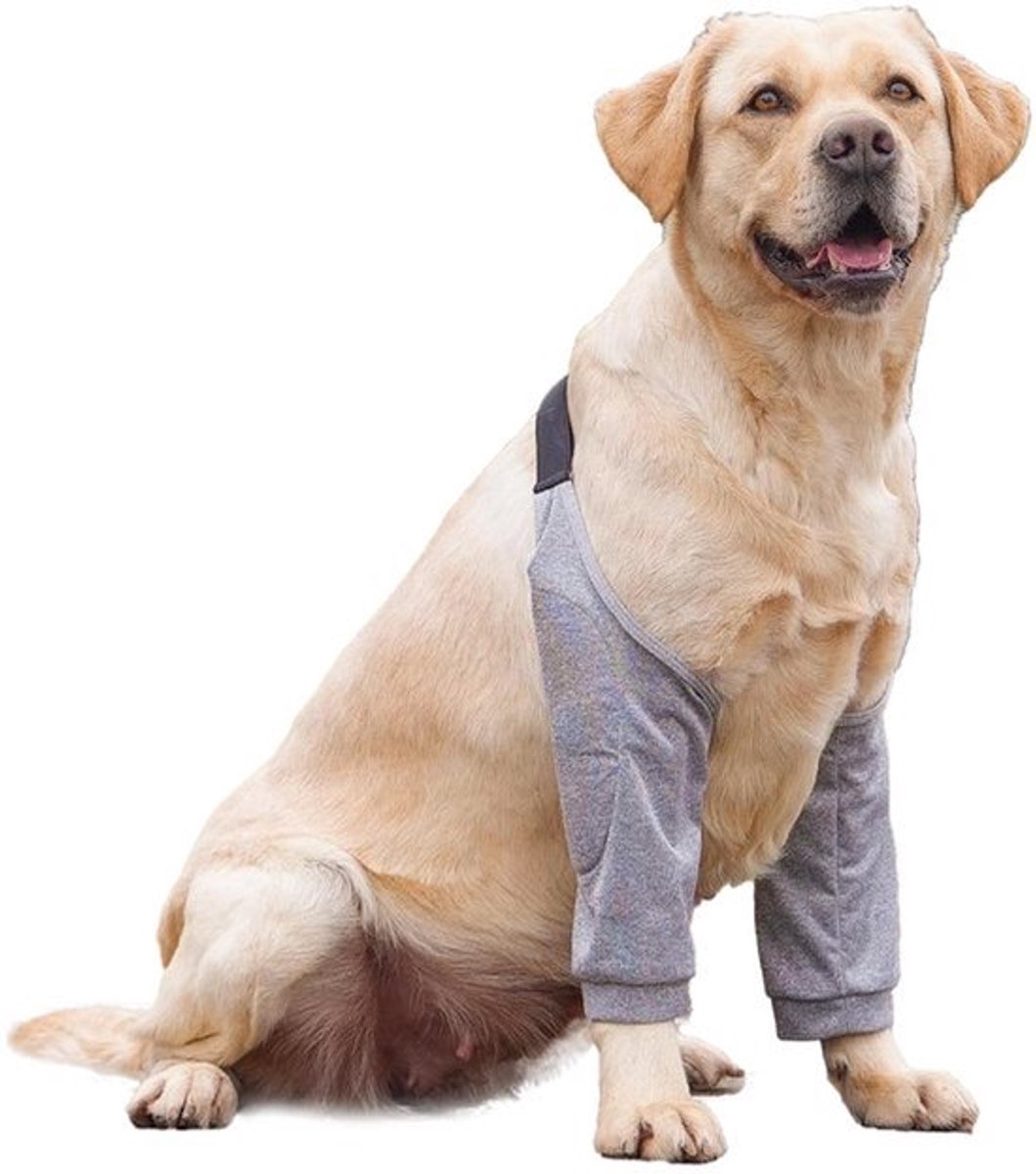 Dailygoody - Hond Voorbeenbretels - Herstel Mouw - 2Xl - Kniebrace