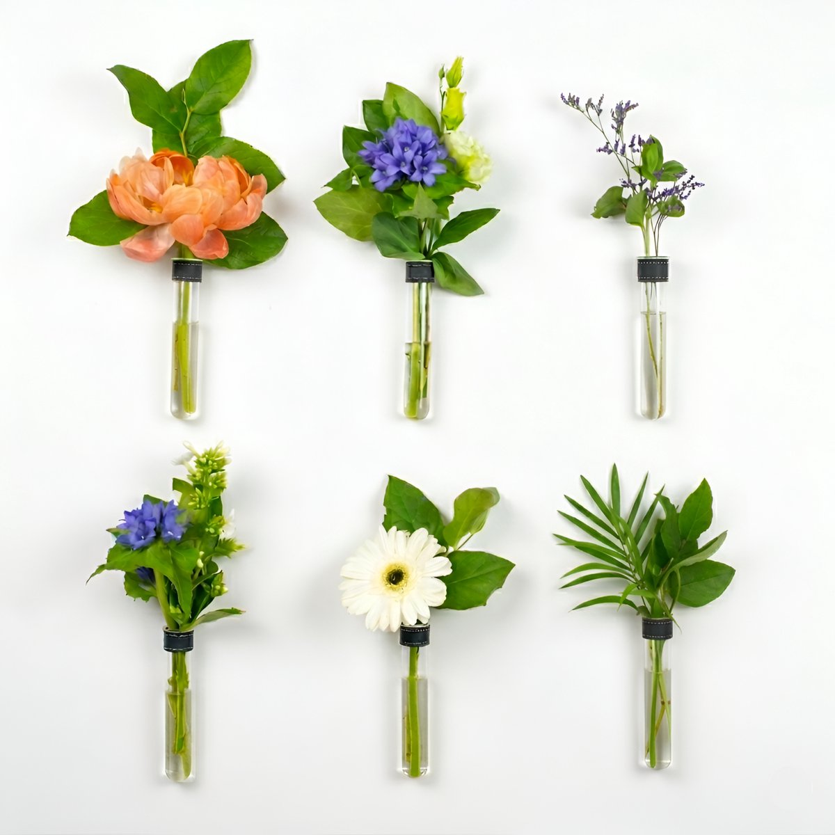 TWILG - Magnetische Muurvaasjes - Stek vaasjes - 6 Stuks - Glas - Stek vaasjes - Zwart leer - Moederdag - Stekjes - Moderne vaas - Stekstation - Wandvaas - Droogbloemen - Reageerbuisjes