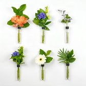 TWILG - Magnetische Muurvaasjes - Stek vaasjes - 6 Stuks - Glas - Stek vaasjes - Zwart leer - Moederdag - Stekjes - Moderne vaas - Stekstation - Wandvaas - Droogbloemen - Reageerbuisjes