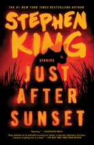 Boekomslag van "Just After Sunset" door Stephen King, met een silhouet van een zwarte kat tegen een zonsondergang en de titel in oranje letters.