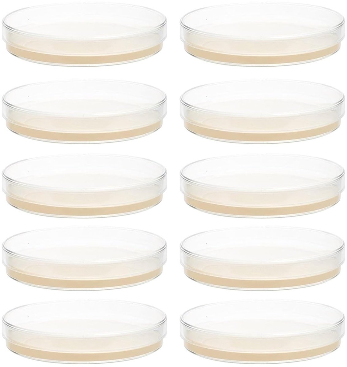 Agar Platen - Petrischalen Medium - Microbiële Cultuur - Voorgegoten Laag - 10 Stuks 7cm - Niet Van Toepassing