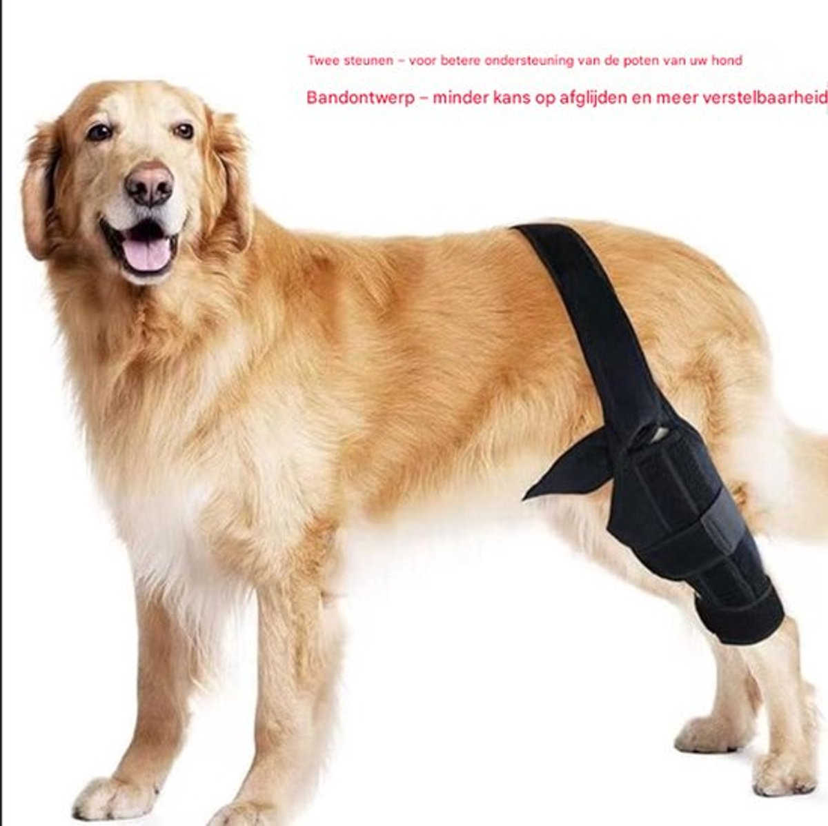 Zwarte (maat S) beschermende uitrusting voor huisdieren, ondersteuning van hondenpoten, kniebeschermer voor honden met gewrichtsbescherming