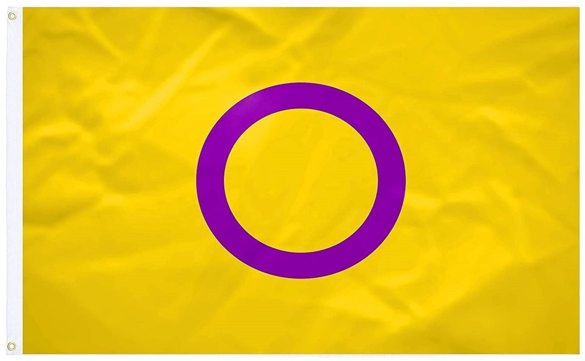 Vlag - Intersekse - 90x150cm