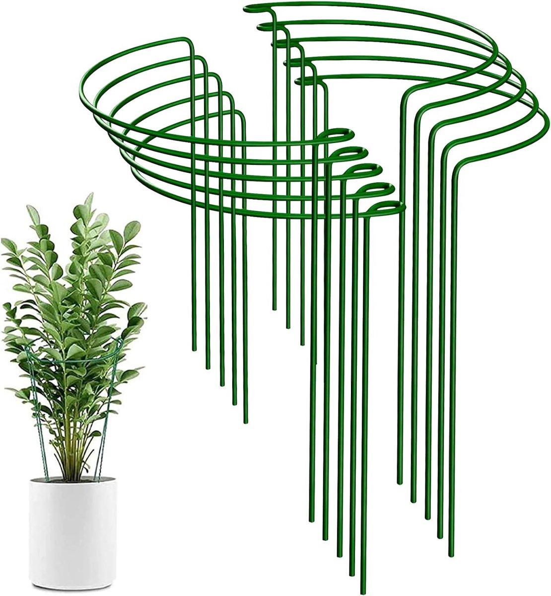 10 Stuks Halve Plantsteunen 25x40CM - Stevige Ondersteuning voor Potplanten, Groenten en Bloemen zoals Pioenrozen en Hortensia's