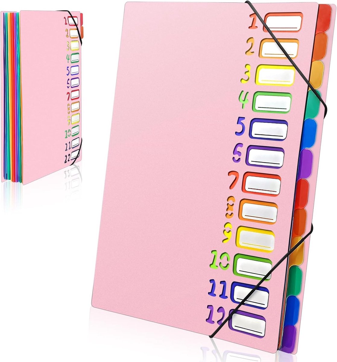 A4 Fan Folder met 12 of 24 Compartimenten, Kleurige Waterdichte Documentenmap voor School en Kantooraccessoires