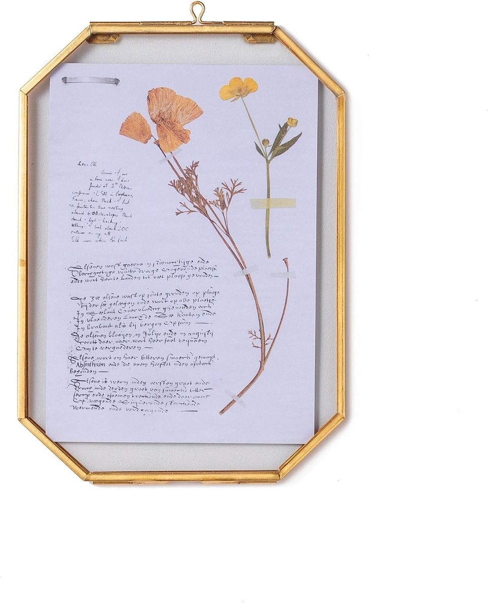 Hanging Gouden 5 x 7 Inch Glazen Zwevend Fotolijst voor Gedroogde Bloemen, Planten en Blad