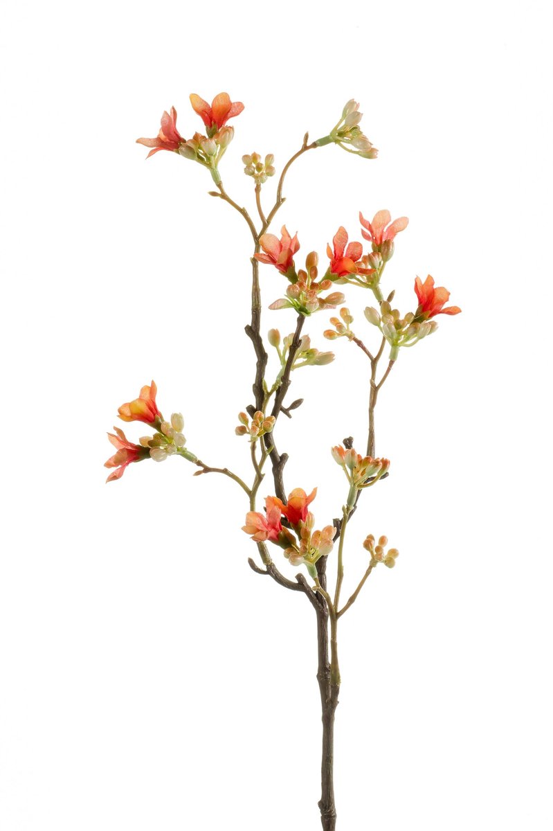 Emerald Kunstbloem Zeven Zonen Bloem 50cm oranje - Kunstplant voor binnen